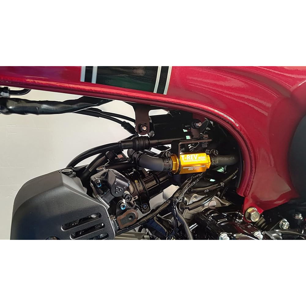 TERAMOTO T-REVmini SP Kit Gold Dax125(JB04) 4265-mini