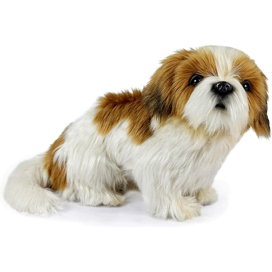 BH7030 HANSA Shih Tzu 30
