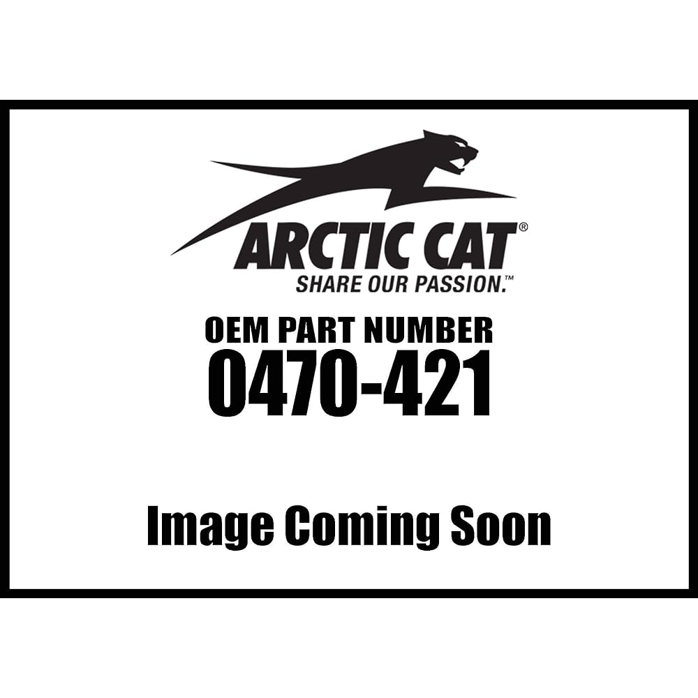 ARCTIC CAT 0470-421 Filter Air (Pt2465)