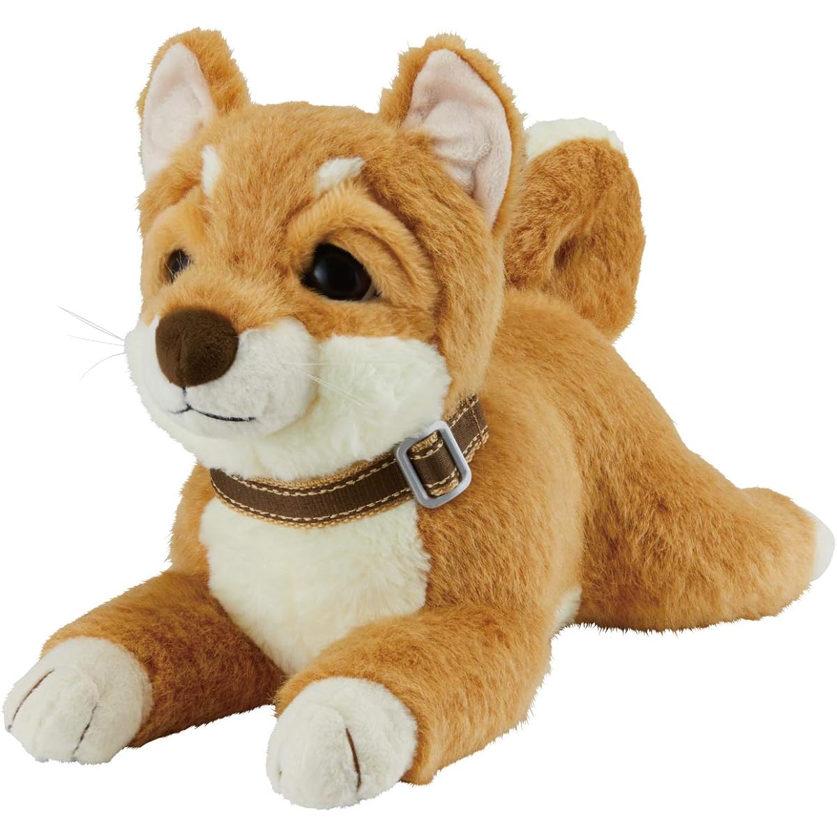 A relaxing conversation that starts with a good morning, a Shiba Inu dog and a chatty communication pet, IWAYA
