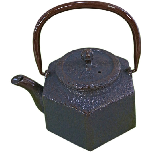 Nanbu Tekki Teapot Rokkaku Rikyu 0.5L (with tea strainer) T-5-16
