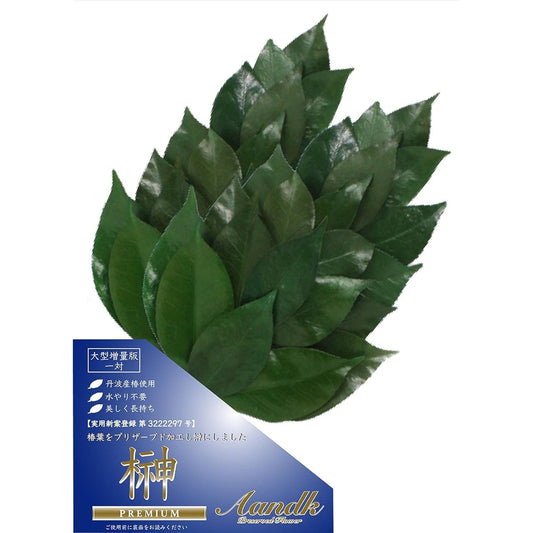 A&K Premium Sakaki Preserved (M size camellia leaf enlarged version / 1 pair / approx. height 34cm x width 14cm) Uses high quality camellia leaves from Tanba Shinto altar for offerings Sakaki