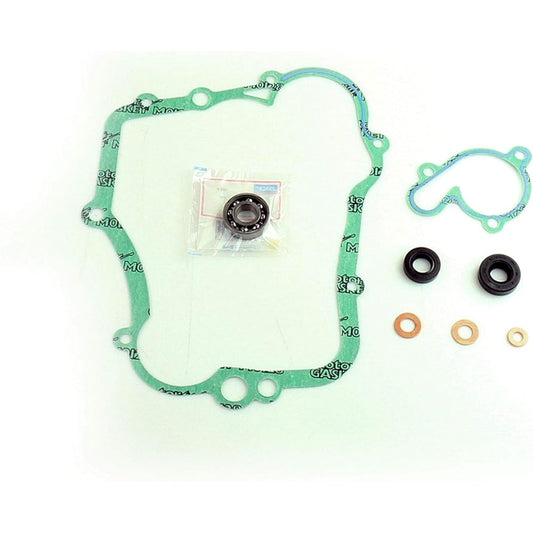 ATHENA PARTS P400485475002 With Black Water Pump Gasket Kit Bearing