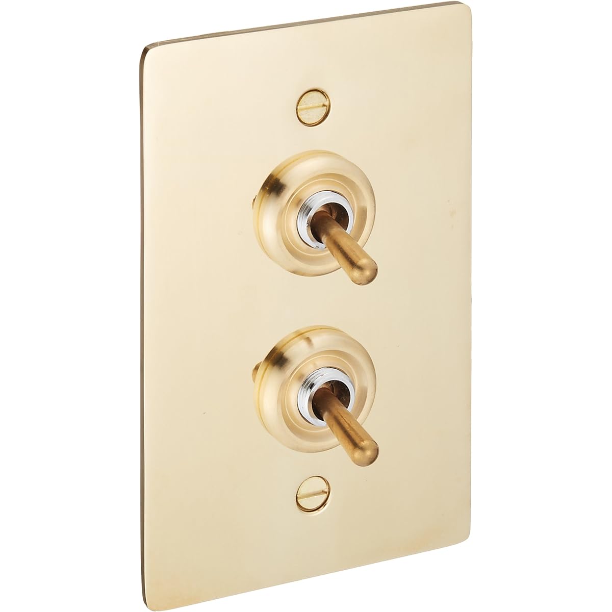 Axis/Homestead+Brass Plate Switch Double+Toggle Switch+HS2336
