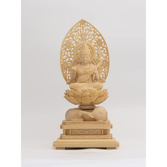 Wooden carved Buddha statue Fugen Bodhisattva Seated statue 22.5cm (Wooden: Cypress wood) Born in the Year of the Dragon and Snake Zodiac Guardian Principal Image Zodiac (Fugen Bosatsu Whi)