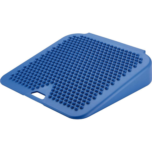 GYMNIC Moving Cushion