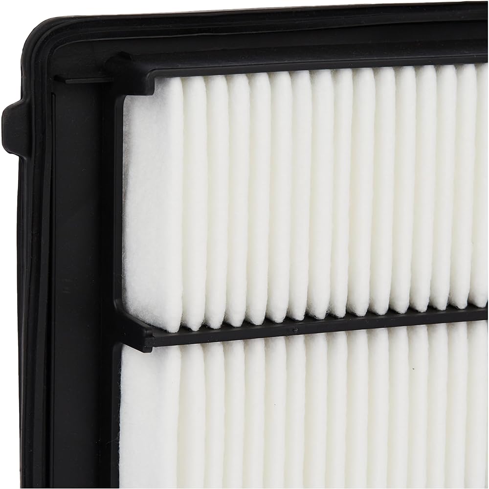 ECOGARD XA6171 Air filter