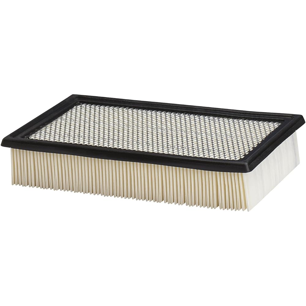 PUROLATOR A25418 Purolatorone Advanced Air Filter