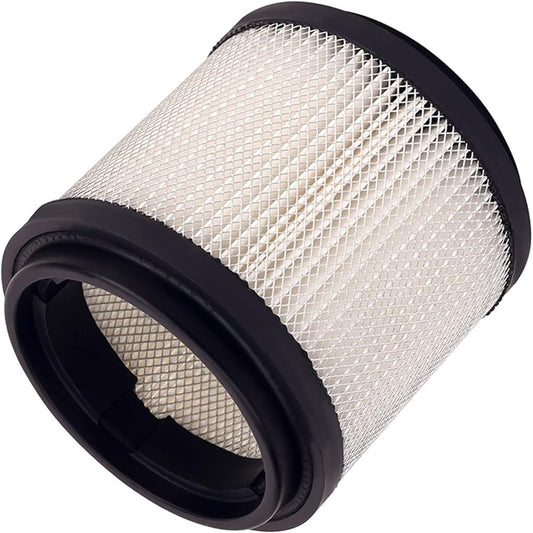 Motorcycle Fuel Filter For Polaris 250 300 350L 400L Accessories Motorcycle Air Filter Cleaner Element (Color : 2 Pcs)