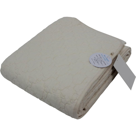 nishikawa [Nishikawa] Pad Gallery Washing Pad CP-048 Queen Ivory 2073-04833