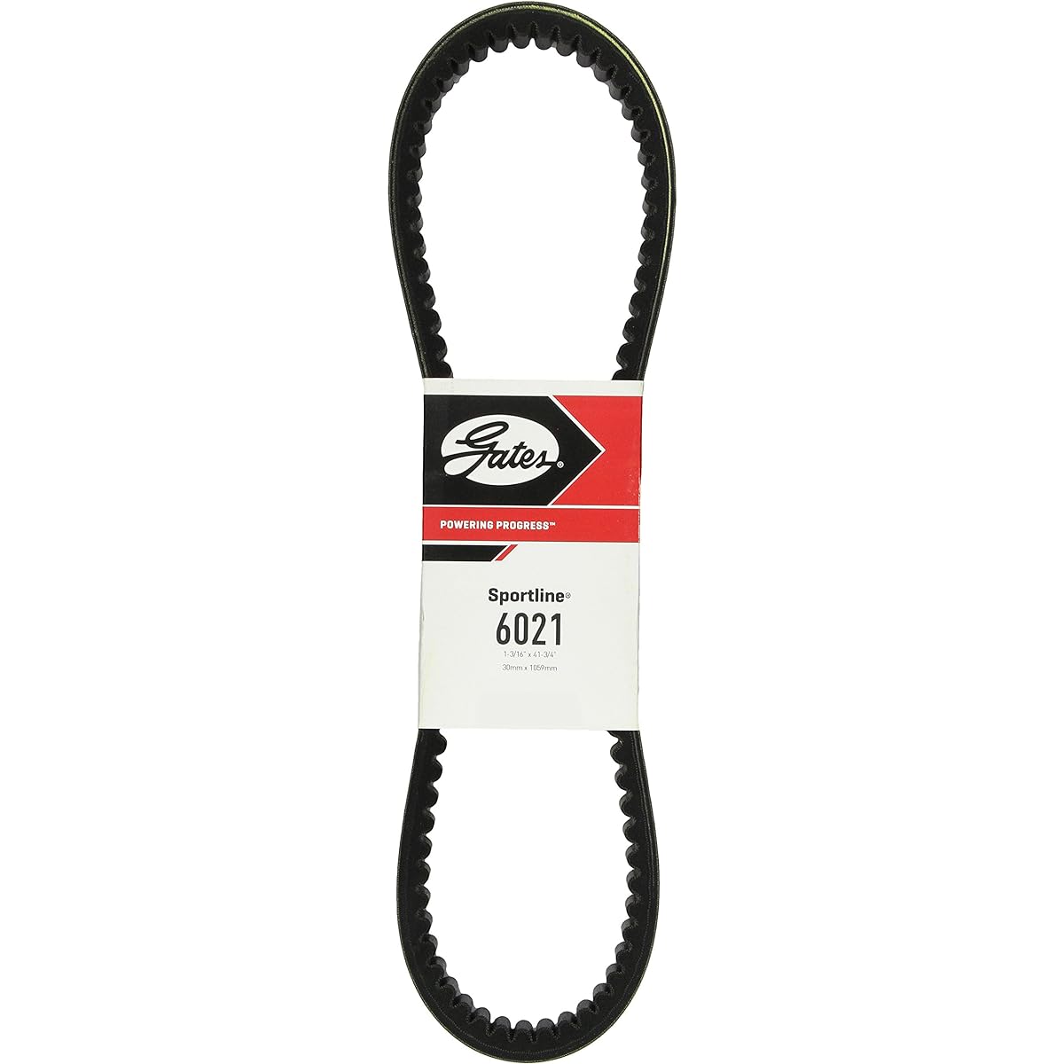GATES SPORTLINE Recreation Vehicle Belt -6021