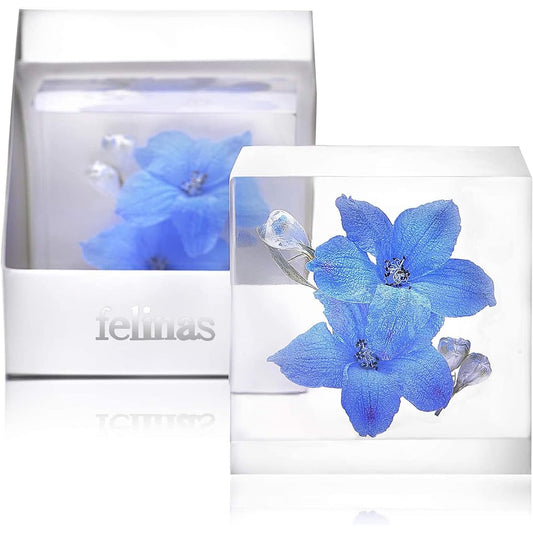 [Felinas] Herbarium Crystal Blue Flower of Happiness White Day Return Present Delphinium