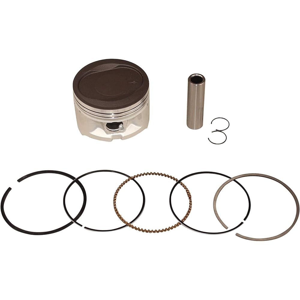 Cylinder Piston Gasket Kit Yamaha Bear Tracker 250 YFM250 1999-2003