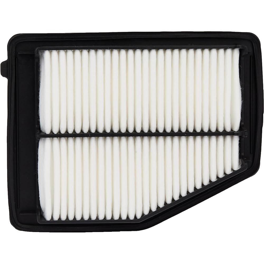 ECOGARD XA6171 Air filter