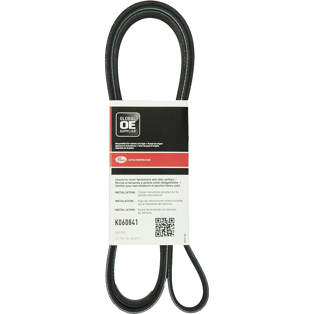 GATES K060841 Servent Tine Belt/Fambelt