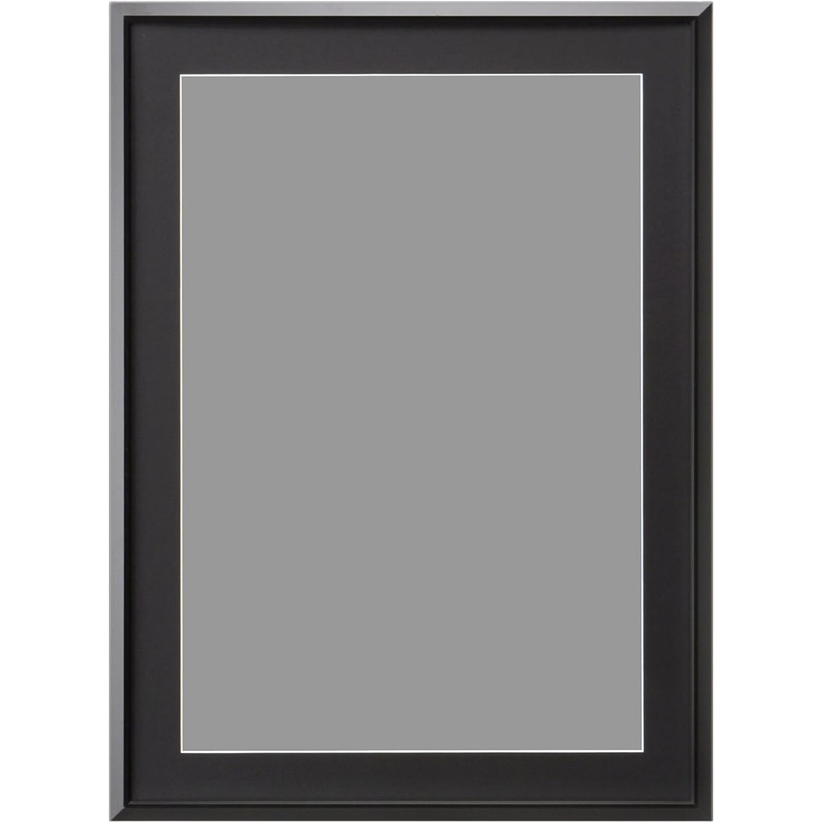 HAKUBA Picture Frame Aluminum AG-02 A3 Novi Acrylic Plate Black FAG2-BKA3N