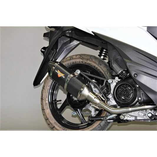Address 110 Bike Muffler EBJ-CE47A 2BJ-CE47A Compatible with 2015-2022 Models Karma Carbon Type Muffler Motorcycle Supplies Motorcycle Bike Parts Full Exhaust Full Exhaust Custom Parts Dress Up Replacement External Product Heavy Bass Valiente Suzuki ADDR