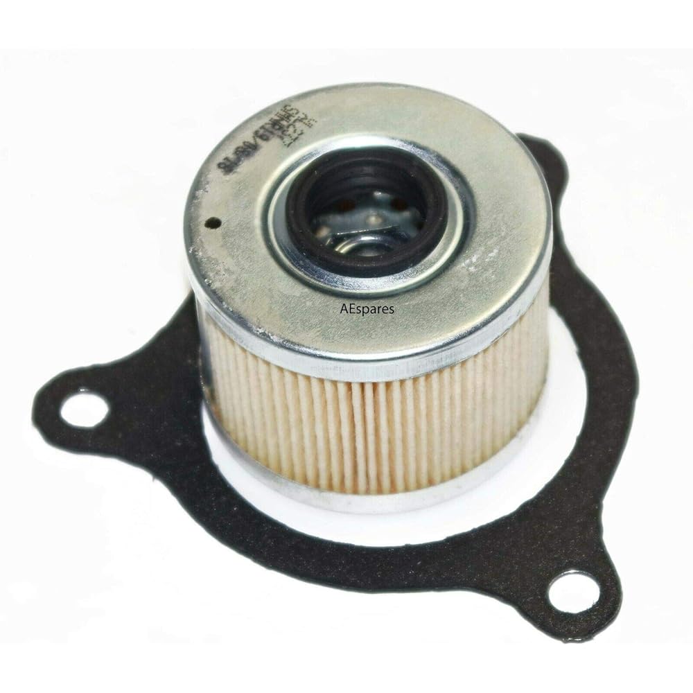 With Aespatares Royal Enfield Himalaya Oil Filter Seal