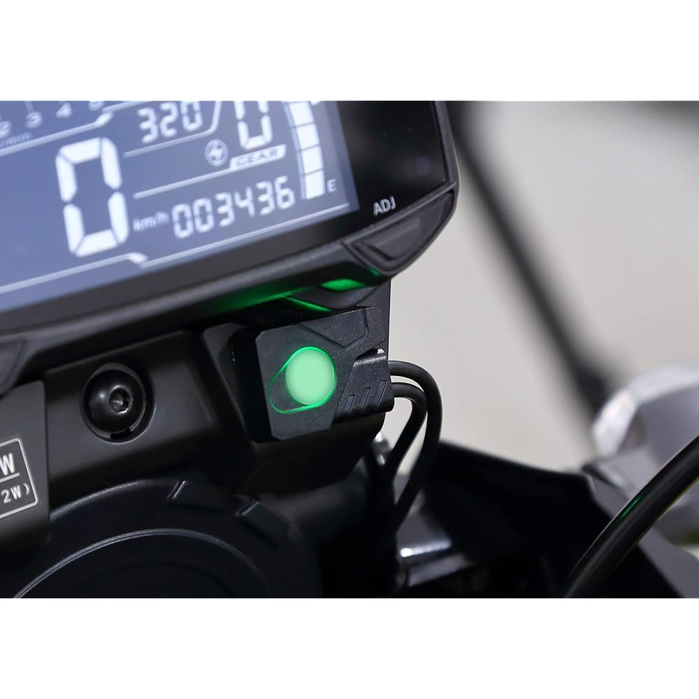 Kijima Motorcycle Bike Parts Fog Light Switch with Indicator On/Off 304-6254