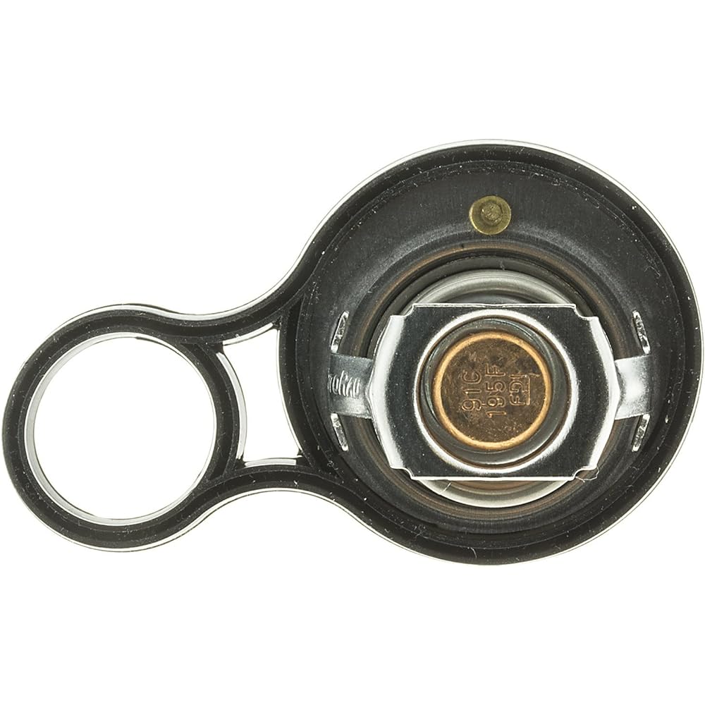 Motorad 718-195 Thermostat.