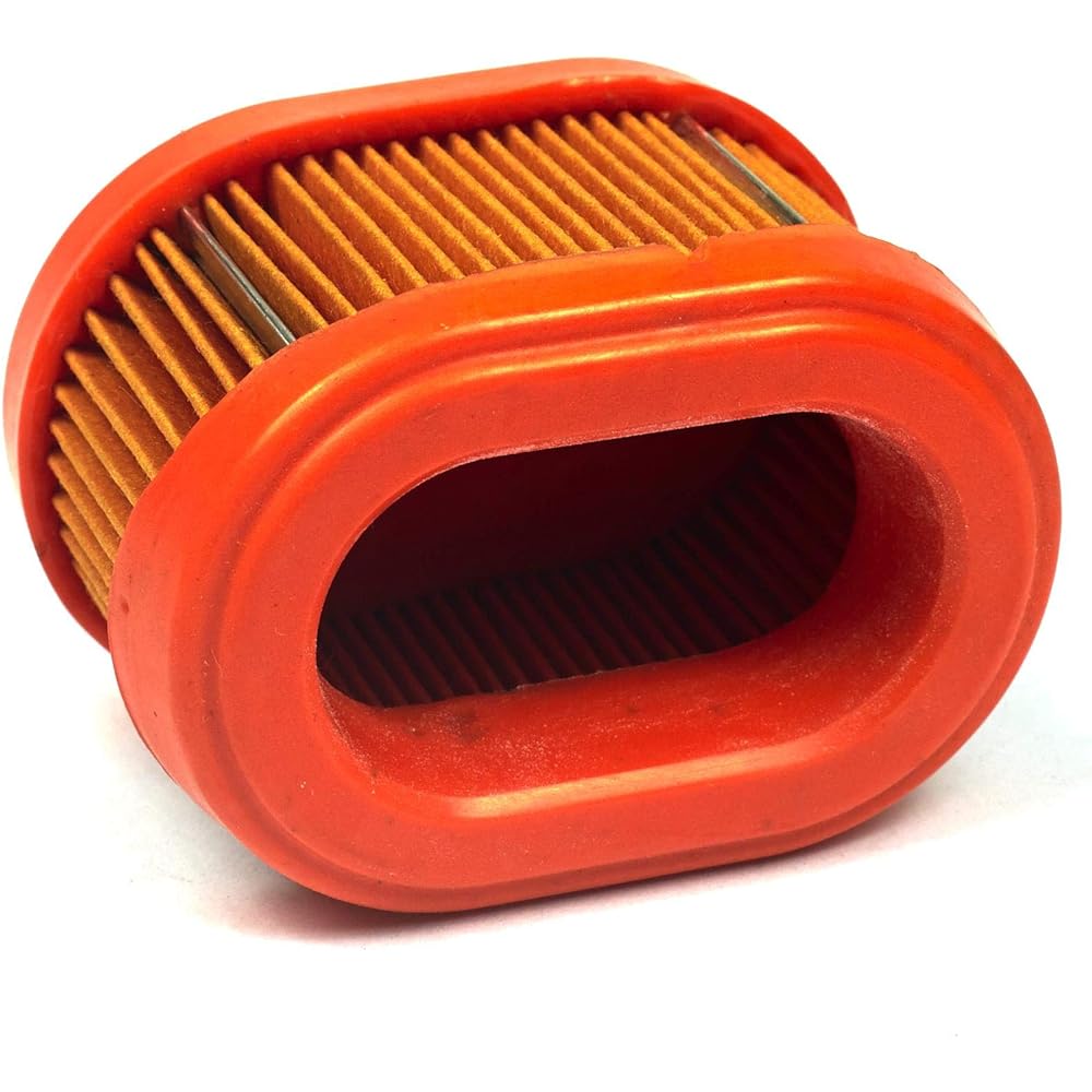 BRIGGS & STRATTON Air Filter 90000 Series With Float Carburetor 5404K