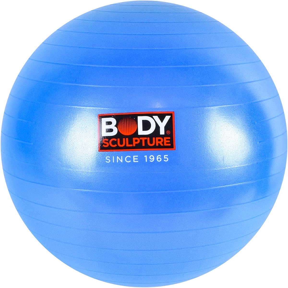 BODY SCULPTURE Balance Ball [55-65cm] Anti-Burst Gym Ball with Air Pump