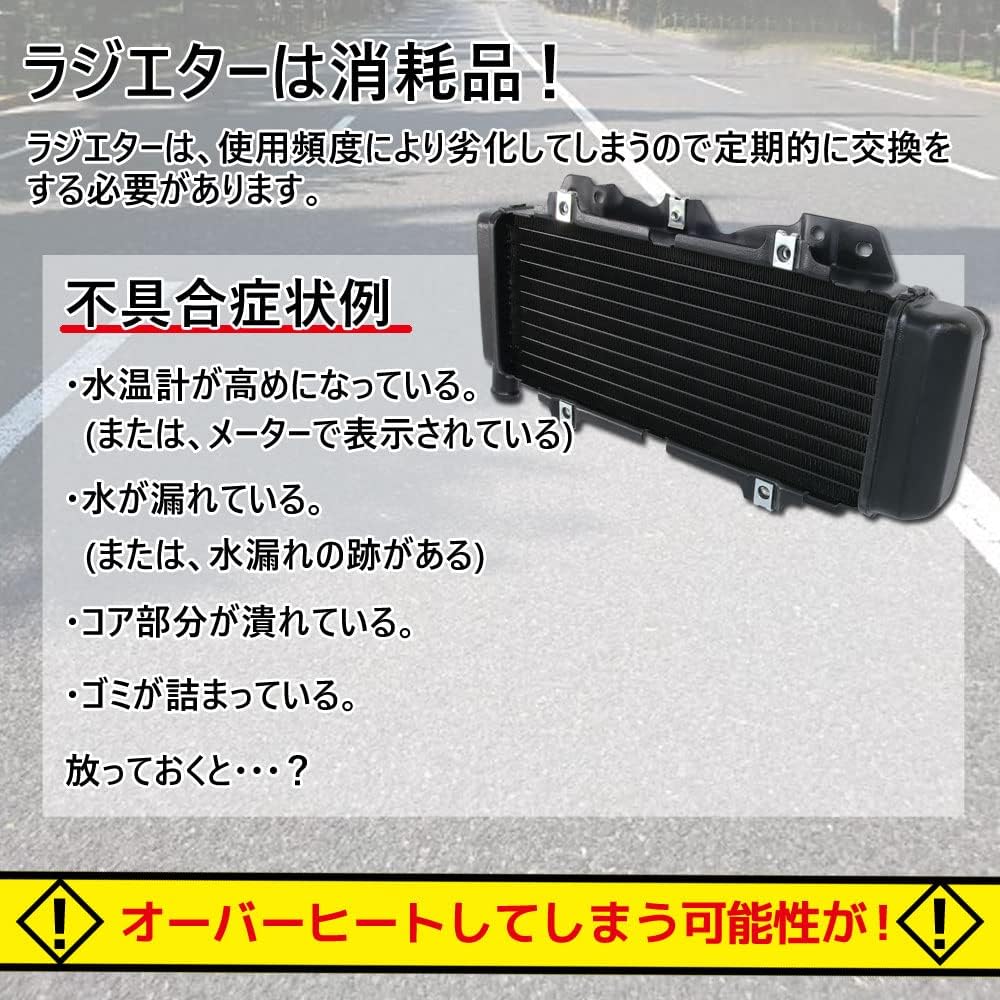 Honda Fusion MF02 Genuine Type Radiator