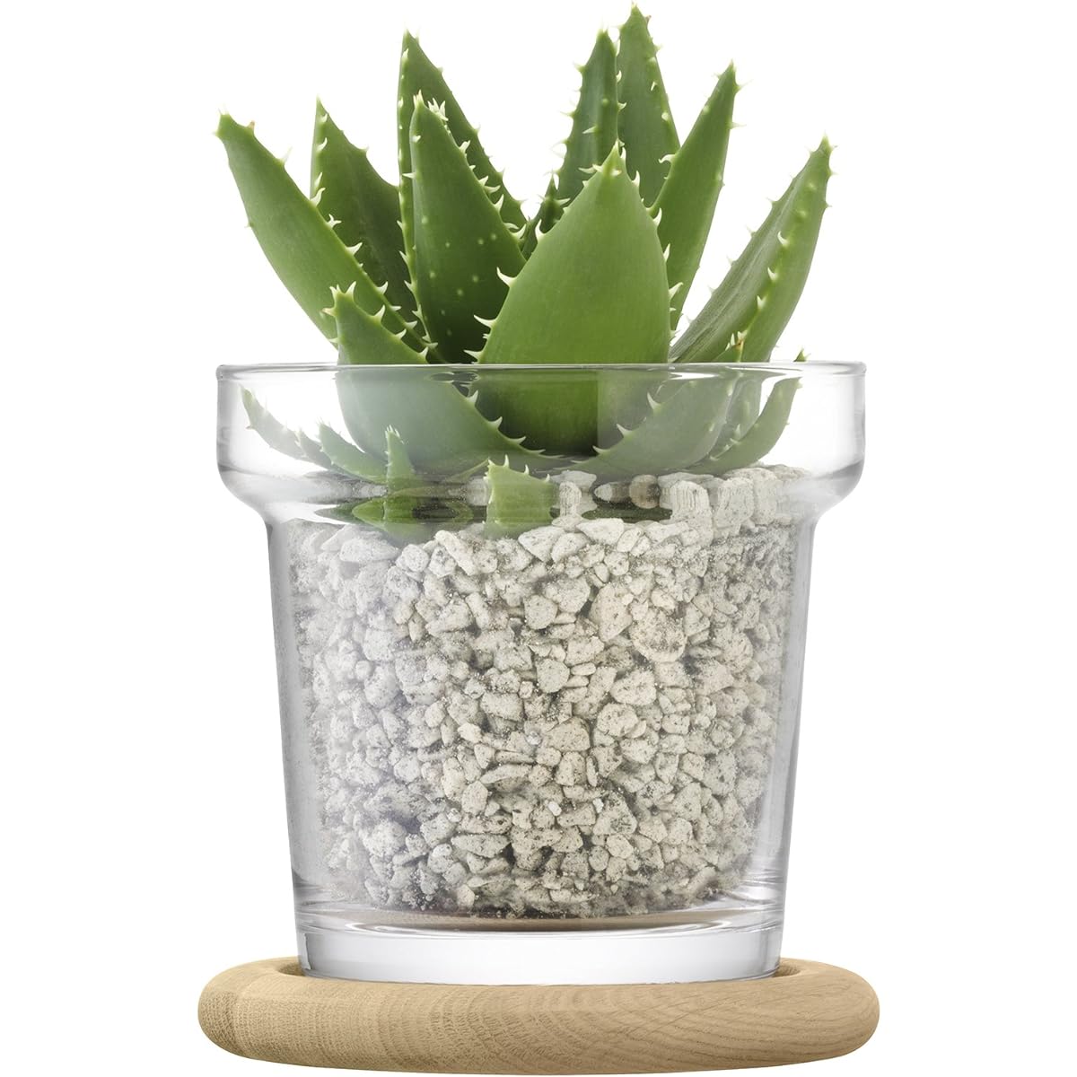 LSA Flower Vase Clear Height 16.5cm PLANT G1463-01-301