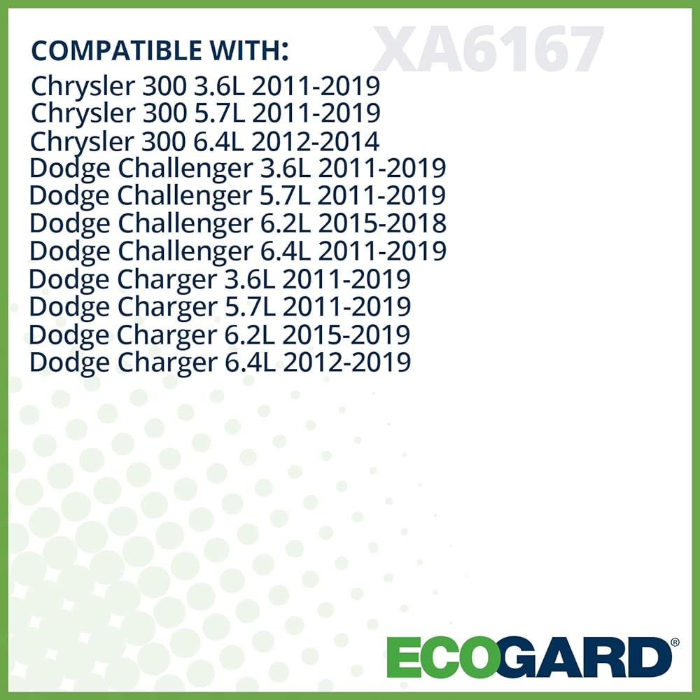 ECOGARD XA6167 Air filter