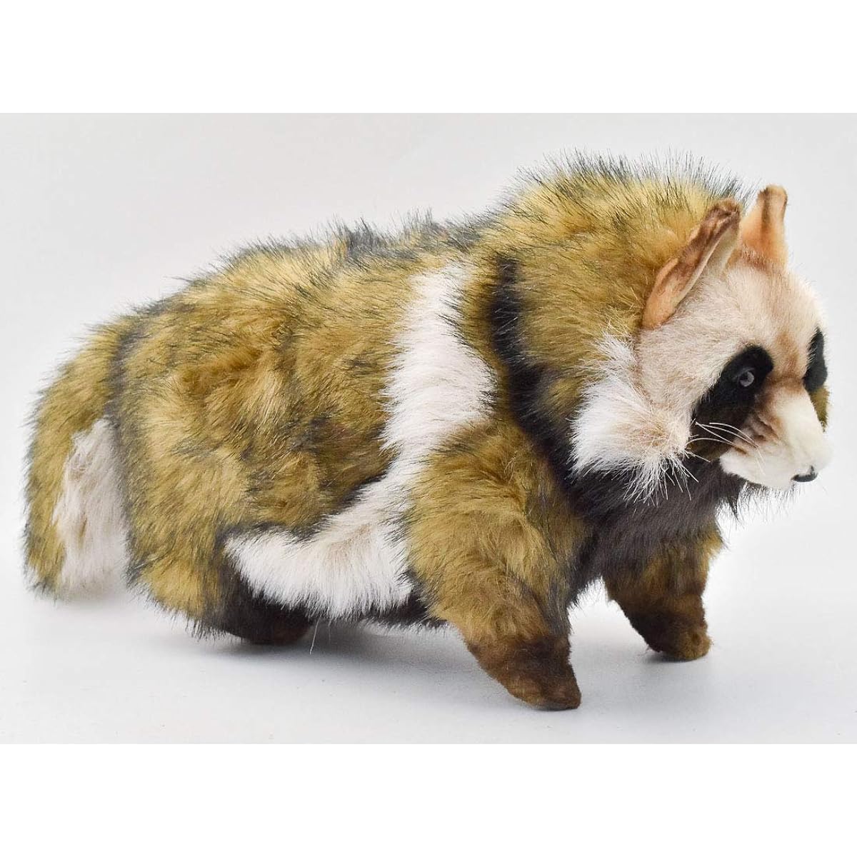 BH7256 HANSA raccoon dog 46
