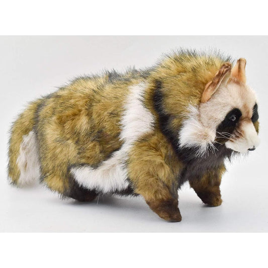 BH7256 HANSA raccoon dog 46