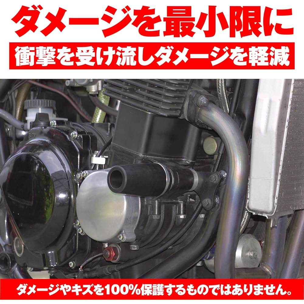Daytona Private cars engine protector [ZRX400 / II (all year)] 79 949
