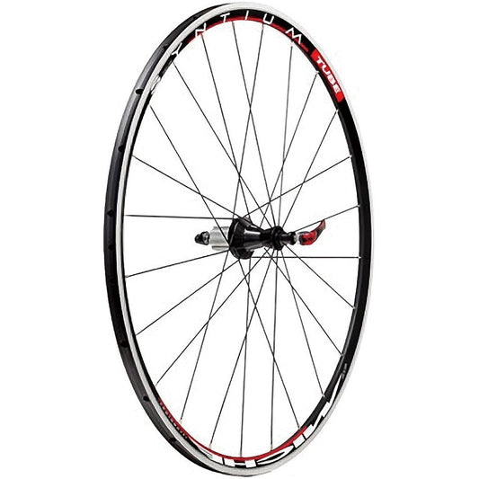 MICHE SYNTIUM tubular wheels pair SHIMANO 11s compatible #1540T