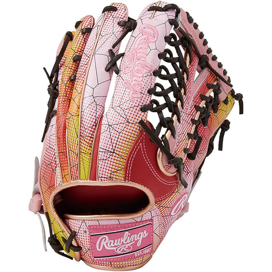 Rawlings HOH GRAPHIC 2023 Softball Glove Glove 23FW (GR3FHGY70-SC/PK)