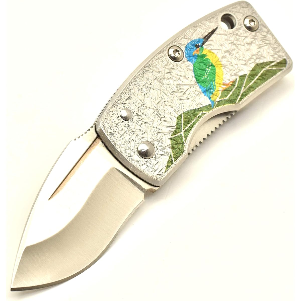 G・SAKAI Skull Money Clip Art Kawasemi Folding Knife