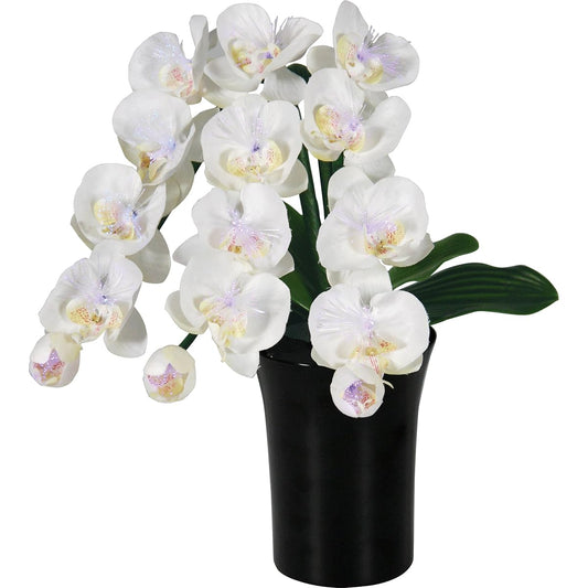 Miyako Butsudan Buddhist altar/Shinto lantern Luminous Phalaenopsis Height 41xW32cm 1311015
