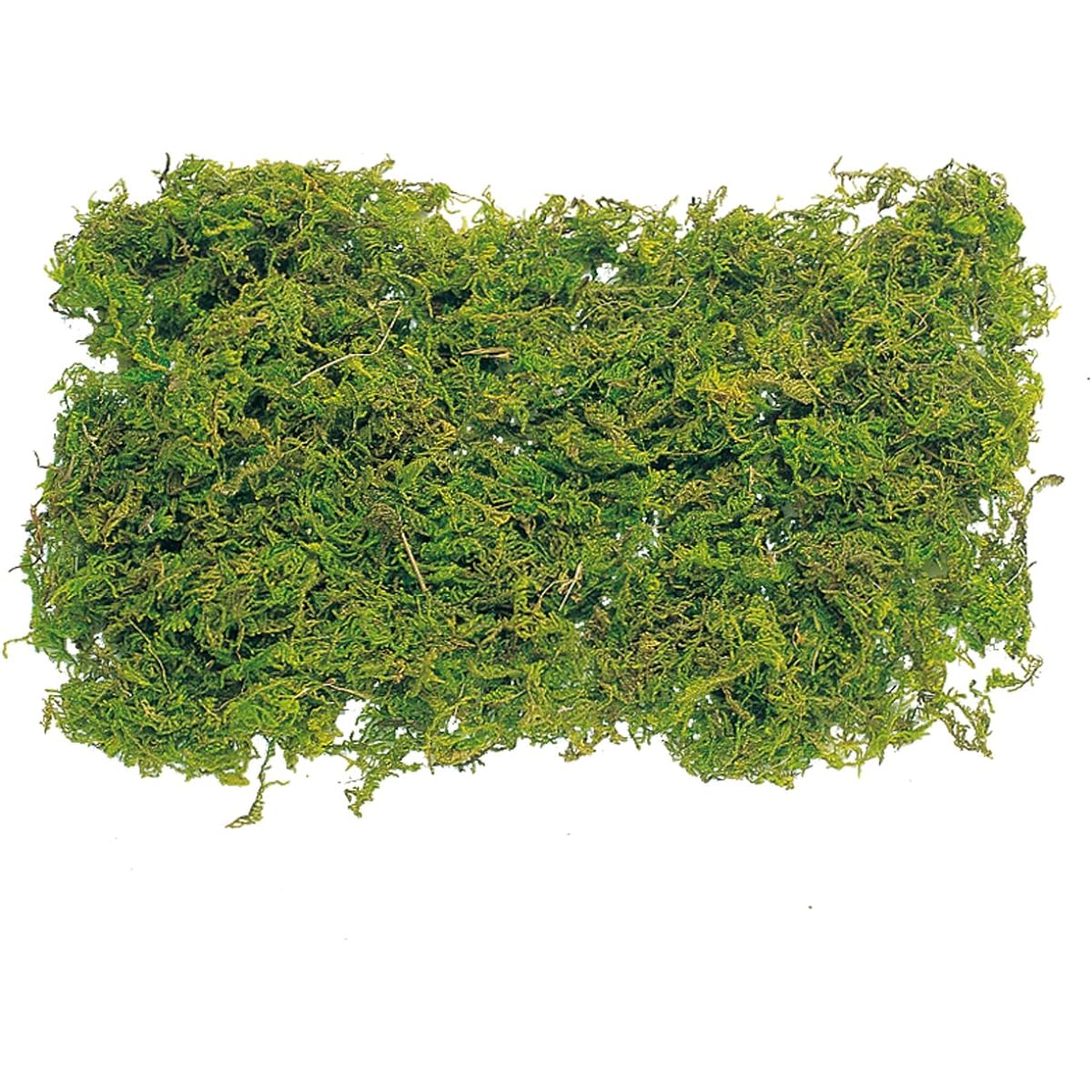 Daichi Farm Natural Materials Mountain Moss/Large Bag (1kg) Green DO61171-700