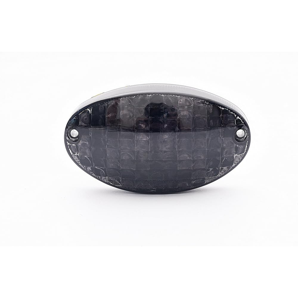 Bright2wheels Motorcycle LED Tail Light. Built-in turn signal. smoke lens. Buell Firebolt, Lightning, California (excluding Stone).