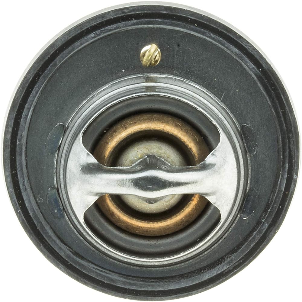 Motorad 656-195 Thermostat.