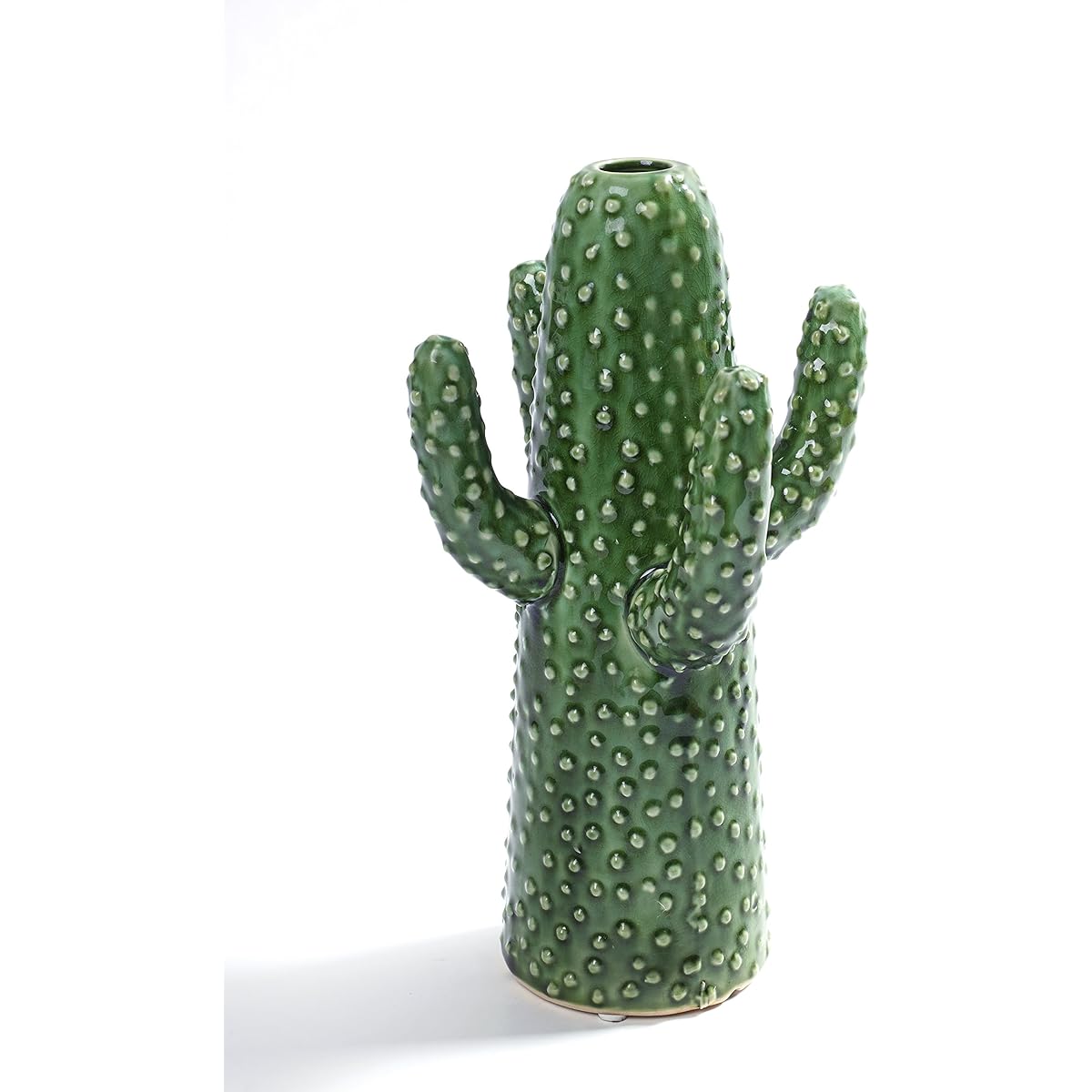 SERAX CACTUS MEDIUM GREEN TSB2513008