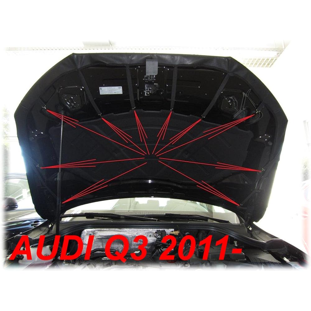 AB-00827 Bonnet Protector Audi Q3 Audi Q3 (2011-2017) HOOD BRA Food Guard Bra (Bug Guard)