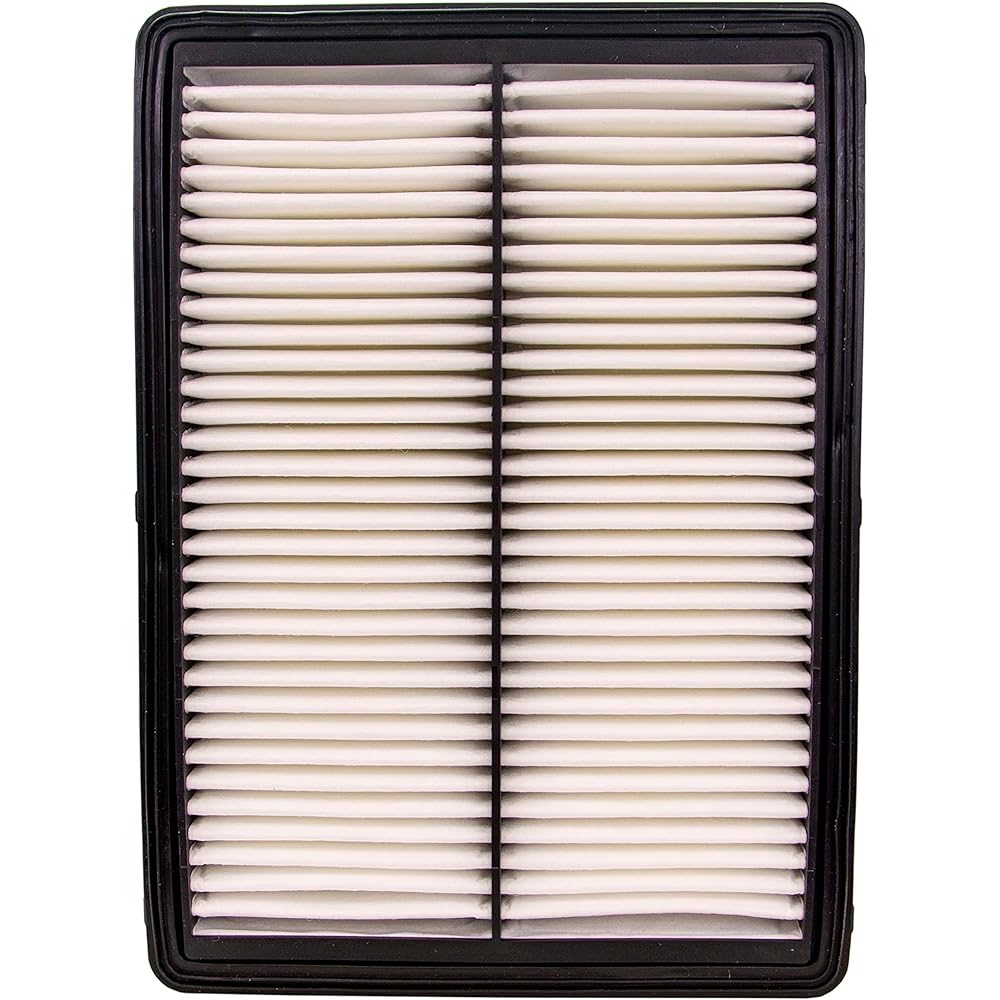 ECOGARD XA10460 Premium Air Filter