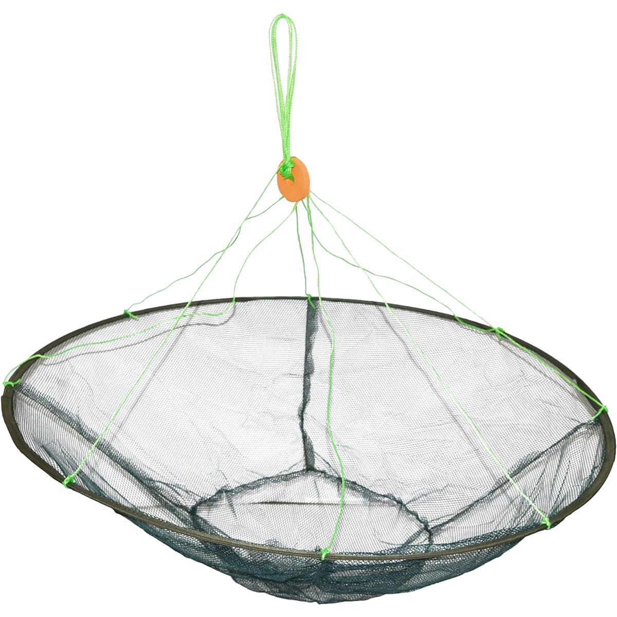 Fish scooping, catching fish, all in one fell swoop, 1m in diameter Tamo net (compact at 35cm when stored) Small fish, killifish, crayfish, snails, shrimp, crabs