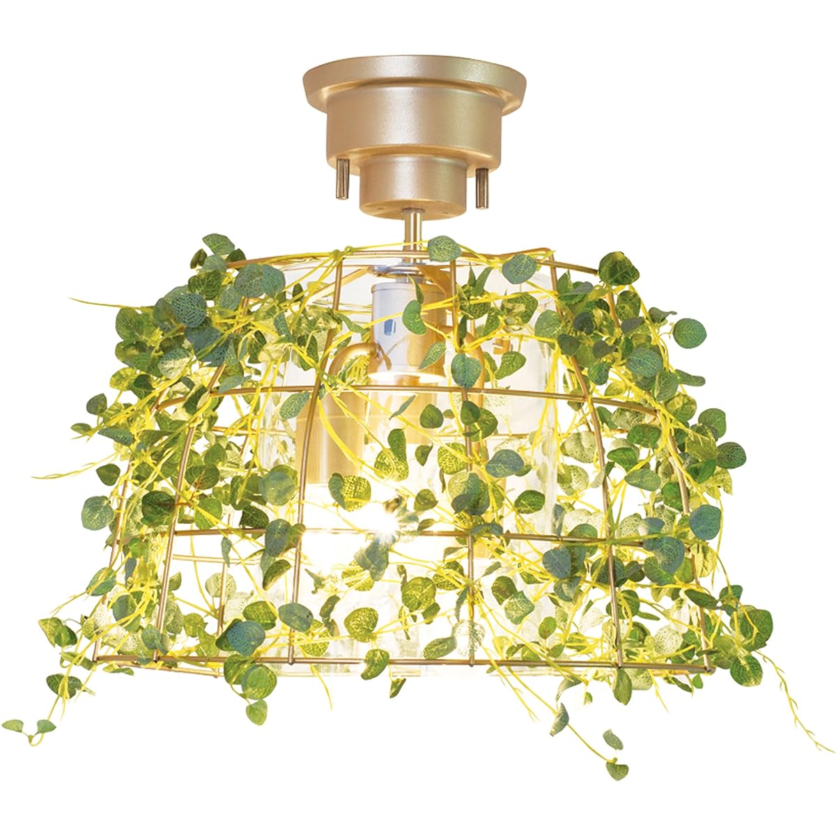 Kishima Botanic [CT Catalyst] Ceiling Light 3 Lights Fittonia CC-40349