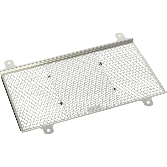 Moriwaki Radiator Core Guard, Silver, 21- REBEL1100 01911-201T5-00