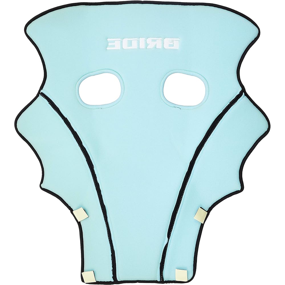 BRIDE K15APO Optional Parts for Seat [Seat Back Protector] K15 Type Black