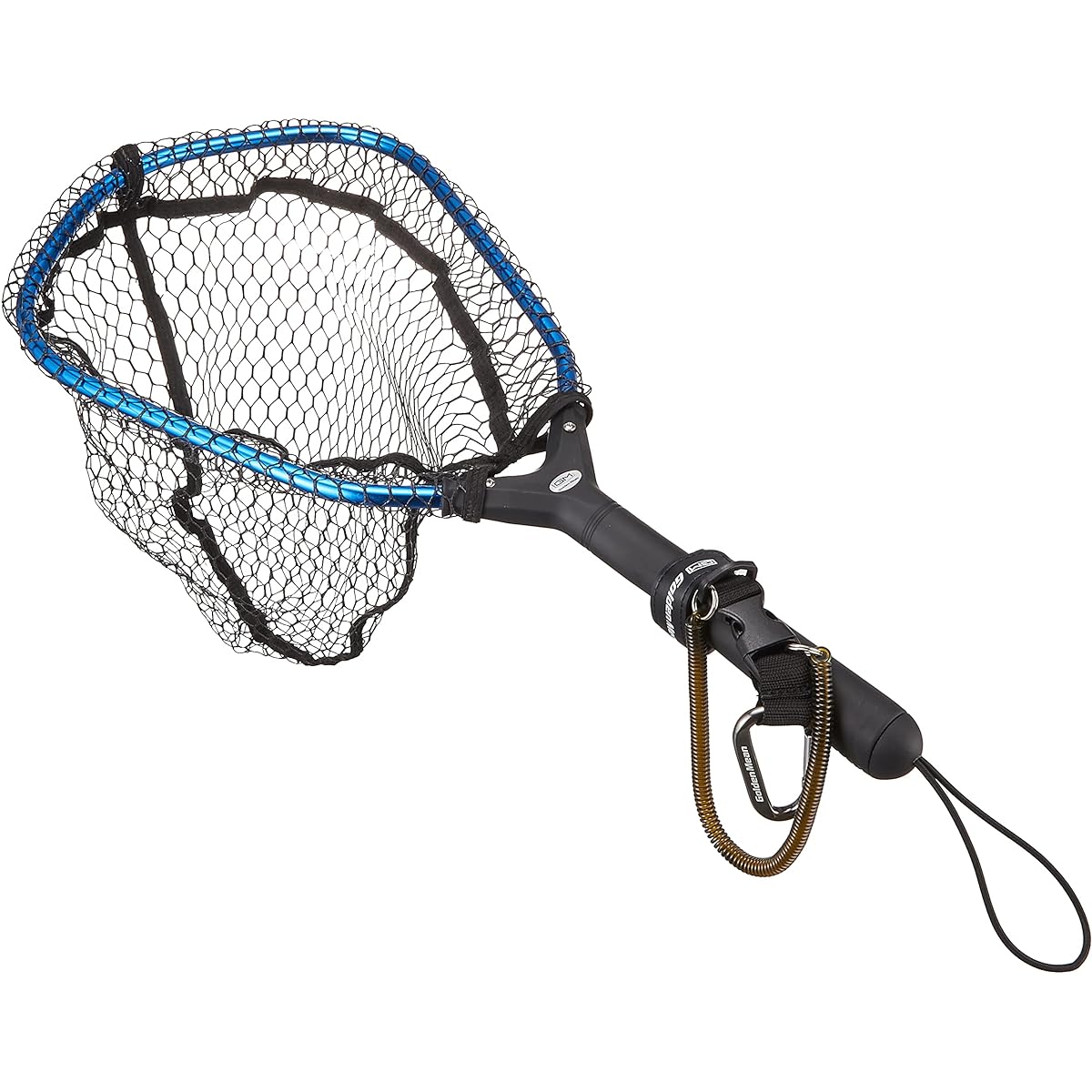 Golden Mean Catch Net II