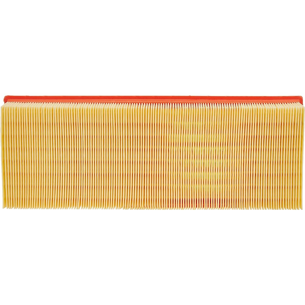 ECOGARD XA10664 Premium Engine Air Filter (Set of 2) 2 packs