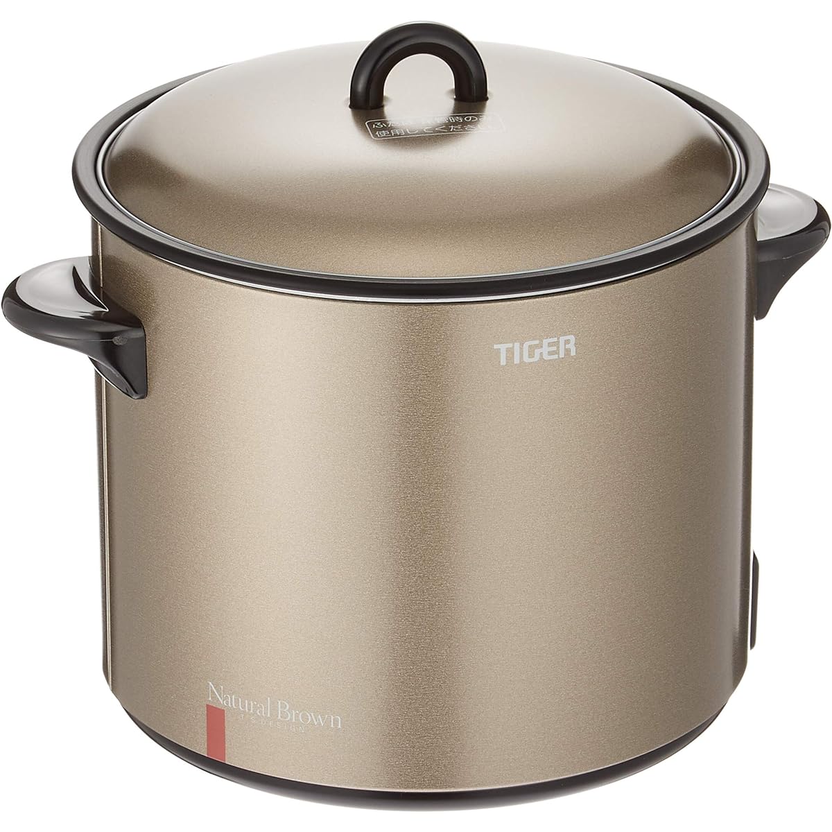 Tiger electric fryer "Hayaage" CFE-A100-T