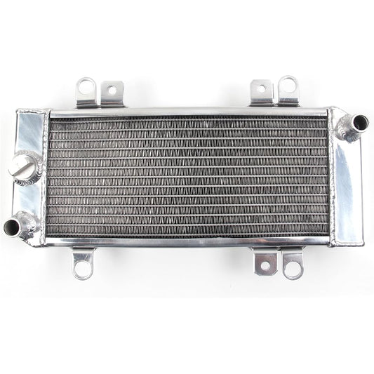 Arashi Radiator Cooling Cooler Compatible with Kawasaki Ninja250 Ninja300 Ninja 250 300 2008 2009 2010 2011 Motorcycle Replacement Accessories Silver